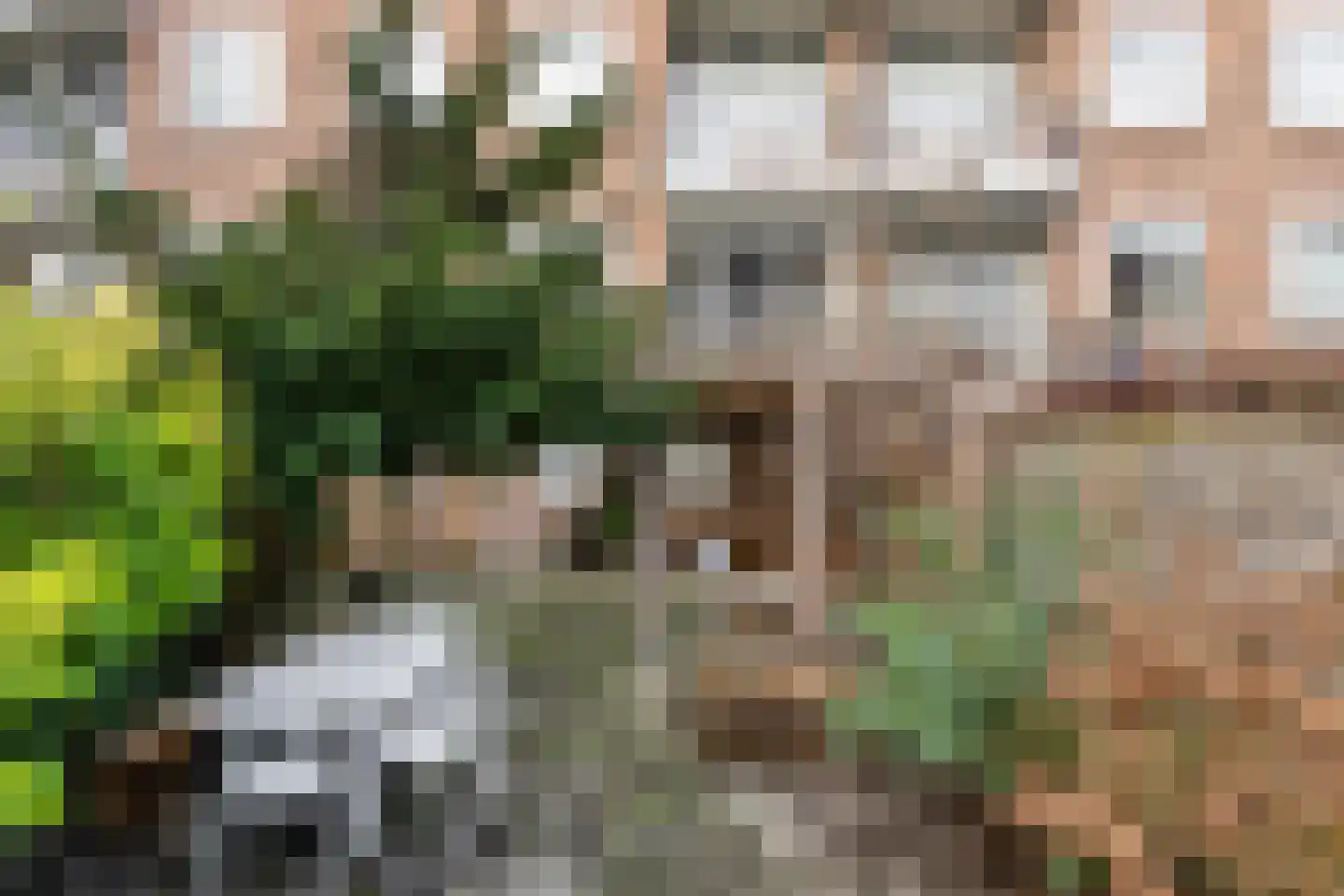 Hogenbanweg 92 D Rotterdam thumbnail 14