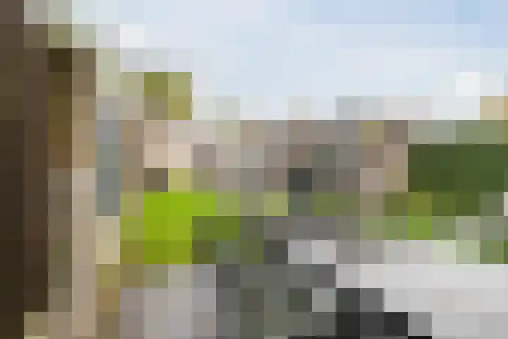 Hogenbergseweg 17 Liempde thumbnail 9