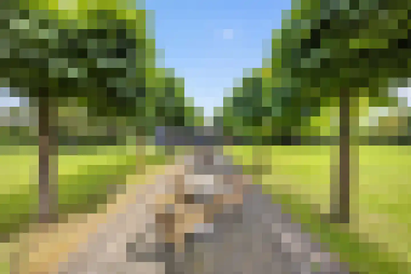 Hogenbergseweg 29 Liempde thumbnail 83