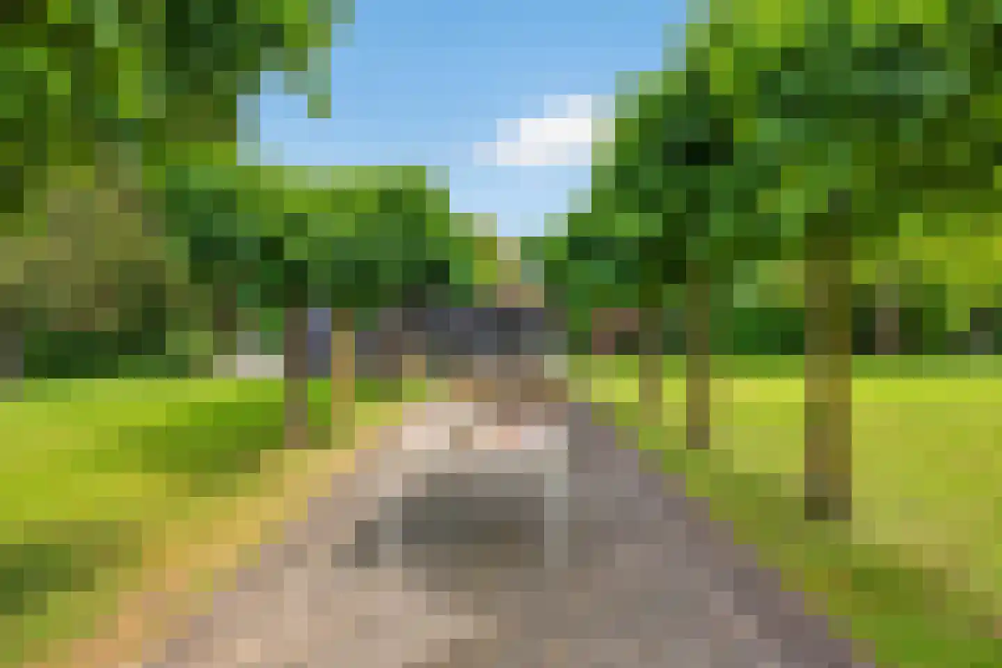 Hogenbergseweg 29 Liempde thumbnail 85