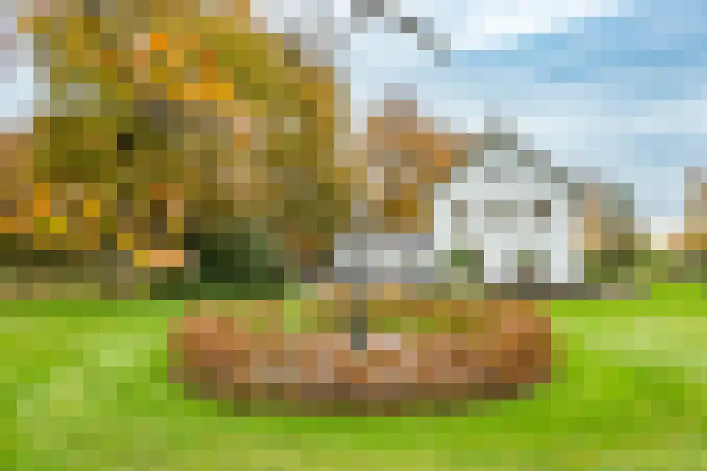 Hogenbrinkweg 2 Wezep thumbnail 11
