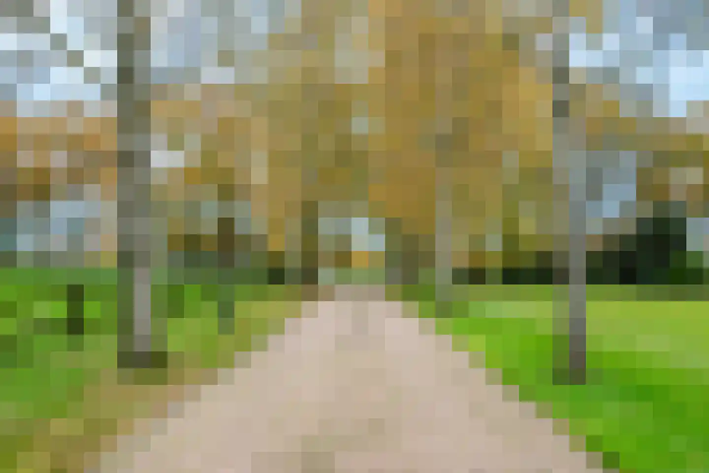Hogenbrinkweg 2 Wezep thumbnail 12