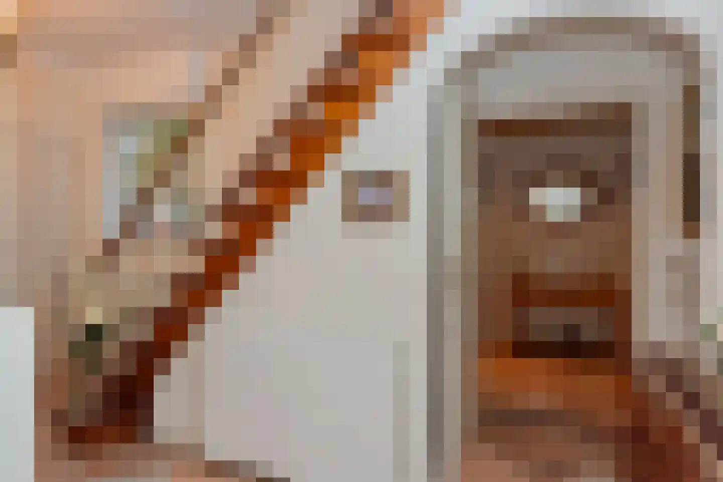 Hogenbrinkweg 2 Wezep thumbnail 20
