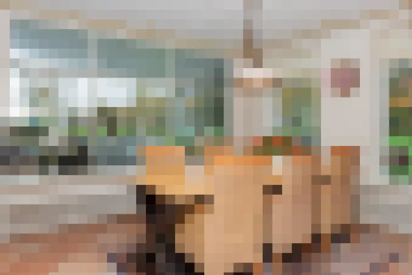 Hogenbrinkweg 2 Wezep thumbnail 29