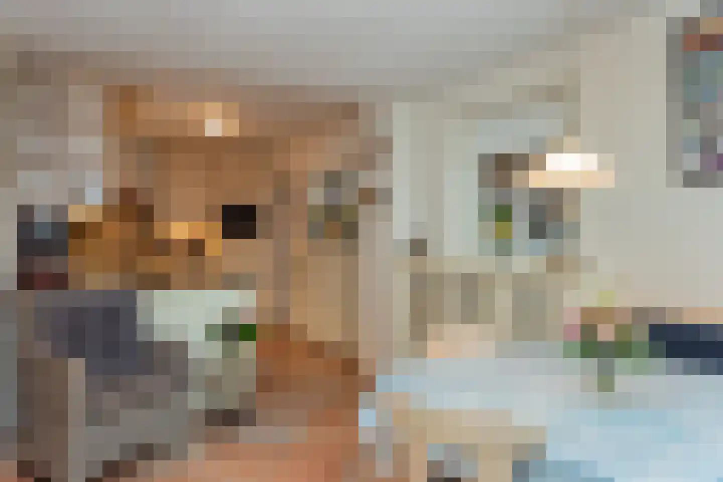 Hogenbrinkweg 2 Wezep thumbnail 34