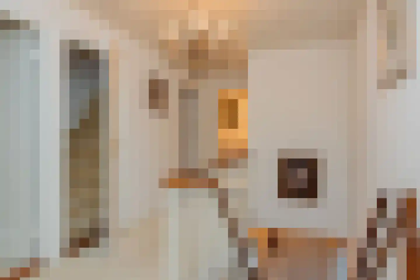 Hogenbrinkweg 2 Wezep thumbnail 36
