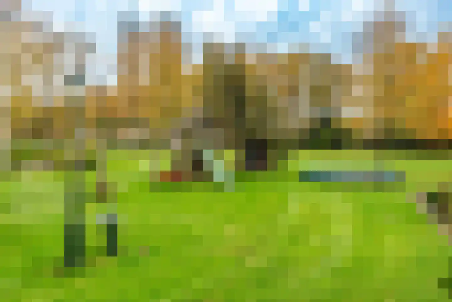 Hogenbrinkweg 2 Wezep thumbnail 59