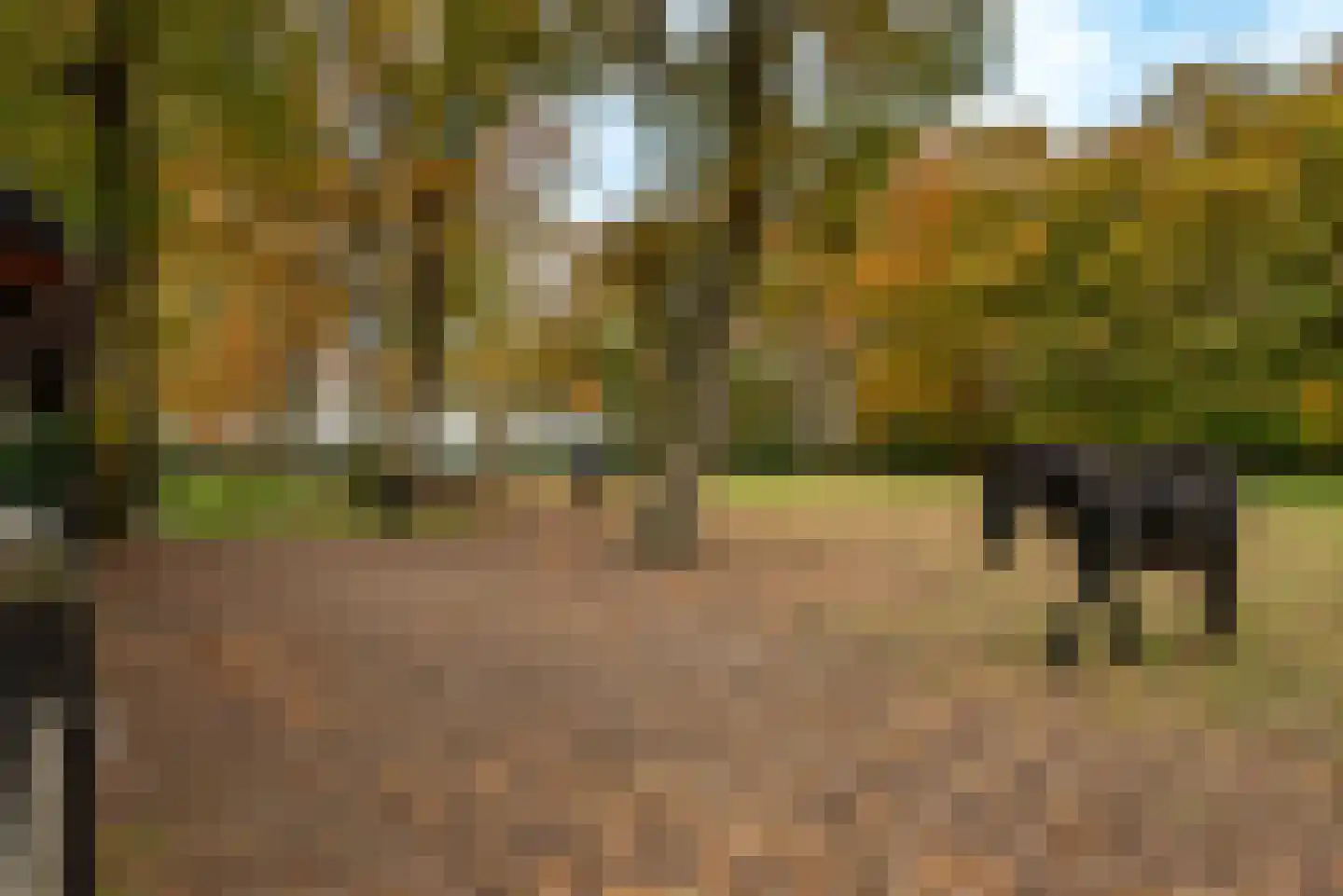 Hogenbrinkweg 2 Wezep thumbnail 8