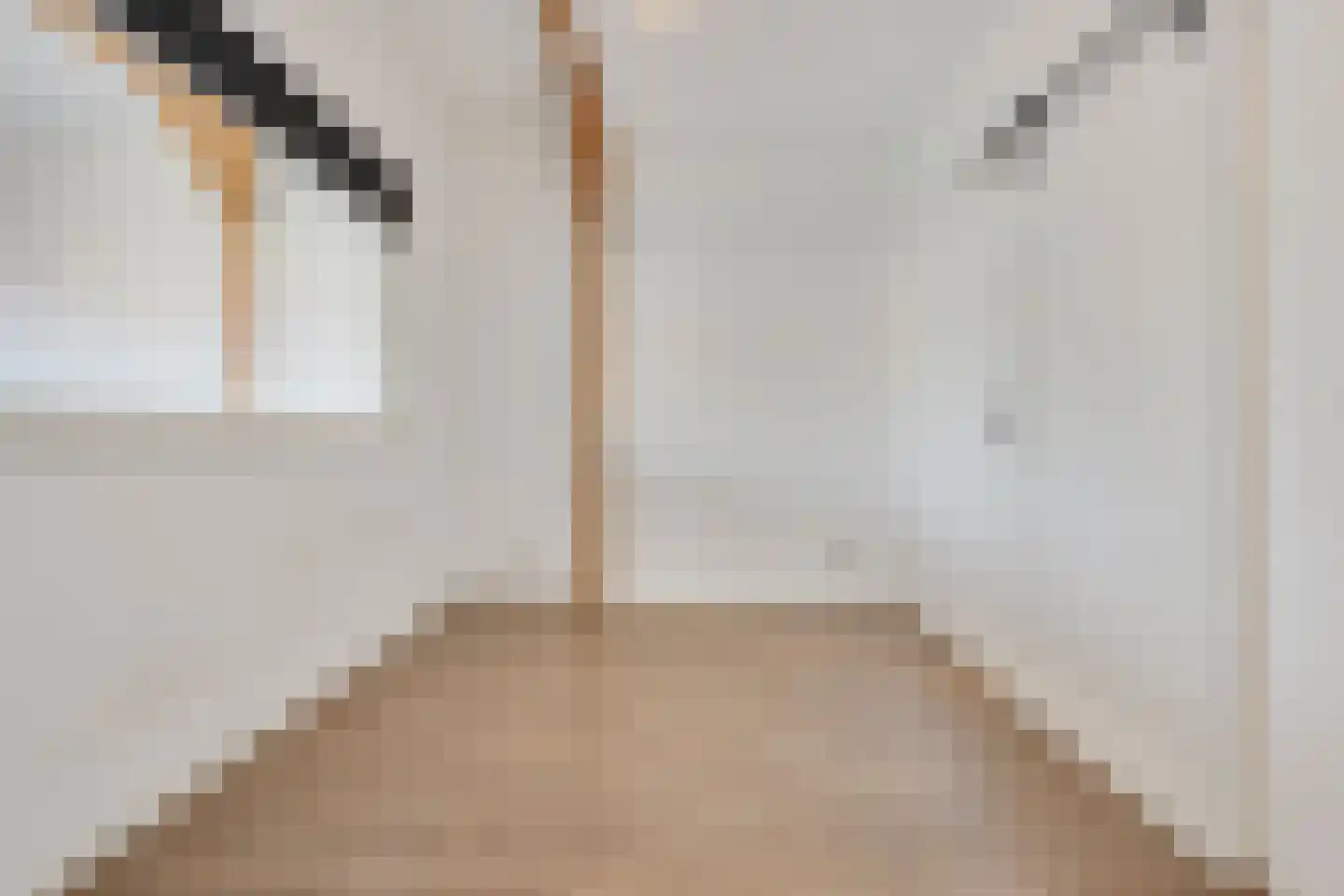 Hogendijk 132 B Zaandam thumbnail 17