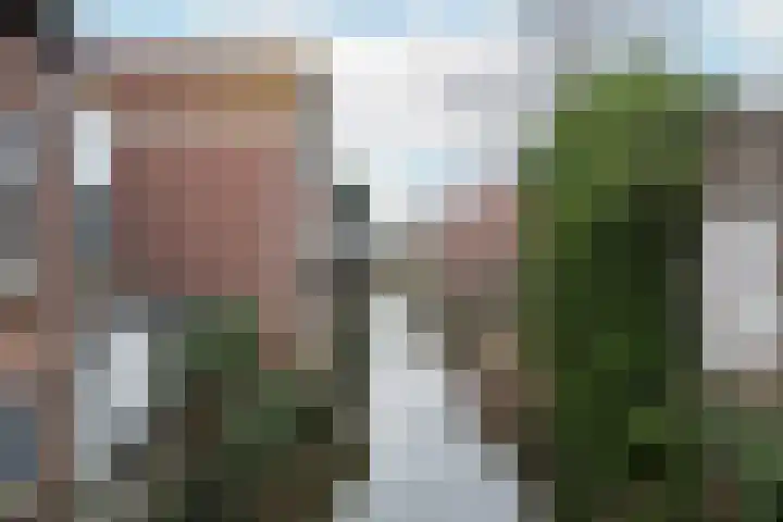 Hogendijk 134 C Zaandam thumbnail 16