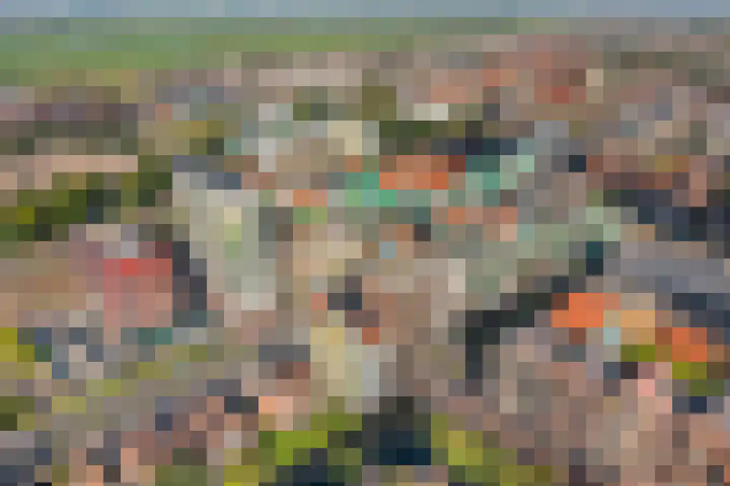 Hogendijk 134 F Zaandam thumbnail 31