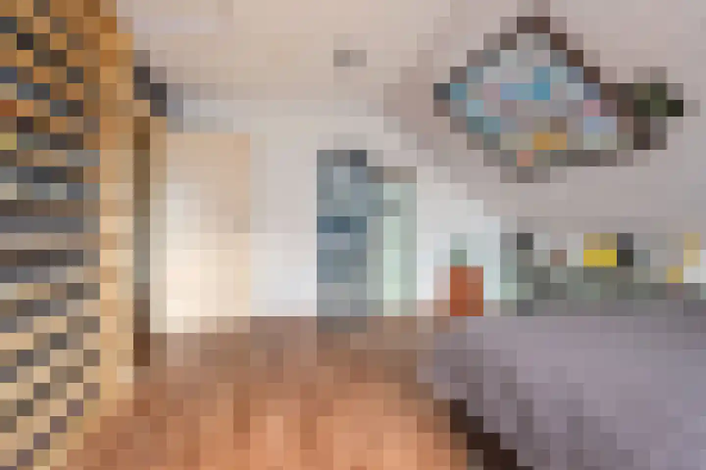 Hogendijk 17 c Nieuw-Vossemeer thumbnail 21