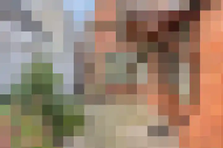 Hogendijk 18 Terneuzen thumbnail 17