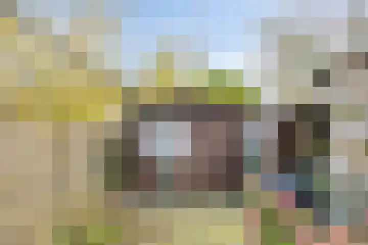 Hogendijk 18 Terneuzen thumbnail 18