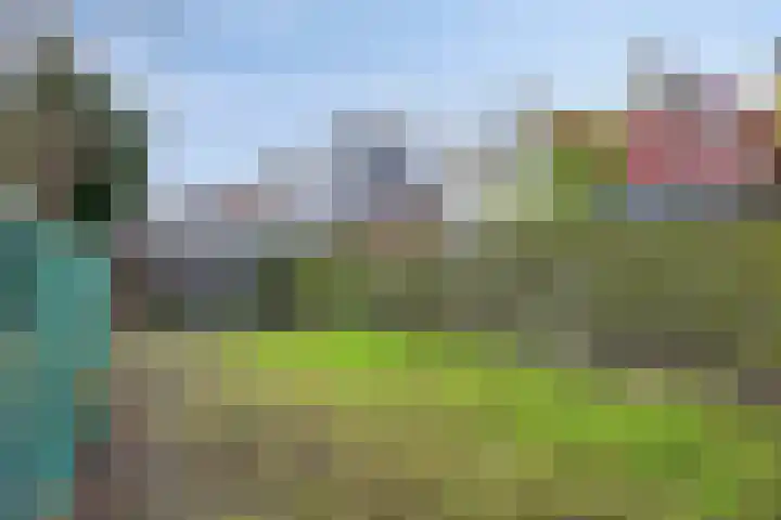 Hogendijk 18 Terneuzen thumbnail 21