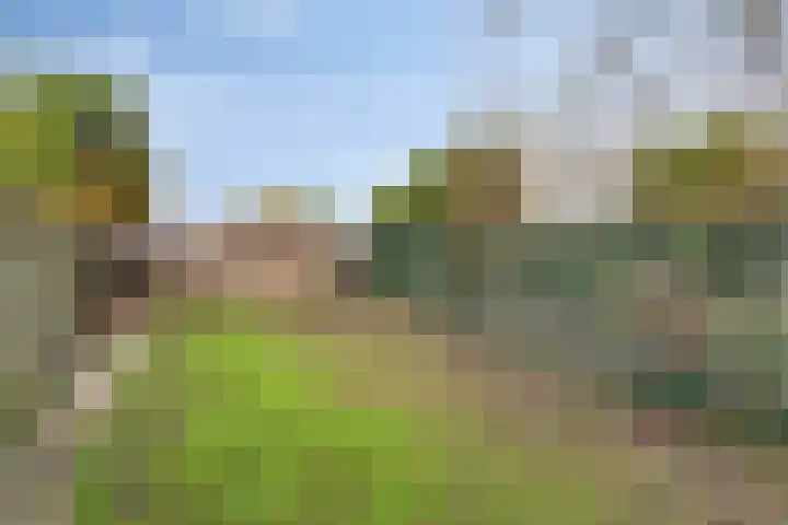 Hogendijk 18 Terneuzen thumbnail 22