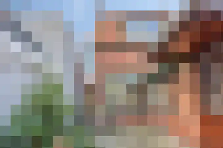 Hogendijk 18 Terneuzen thumbnail 23