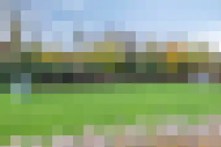 Hogendijk 18 Terneuzen thumbnail 27