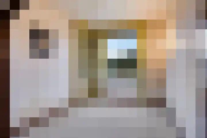 Hogendijk 18 Terneuzen thumbnail 4
