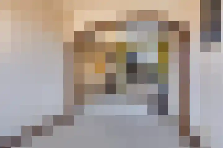 Hogendijk 18 Terneuzen thumbnail 5