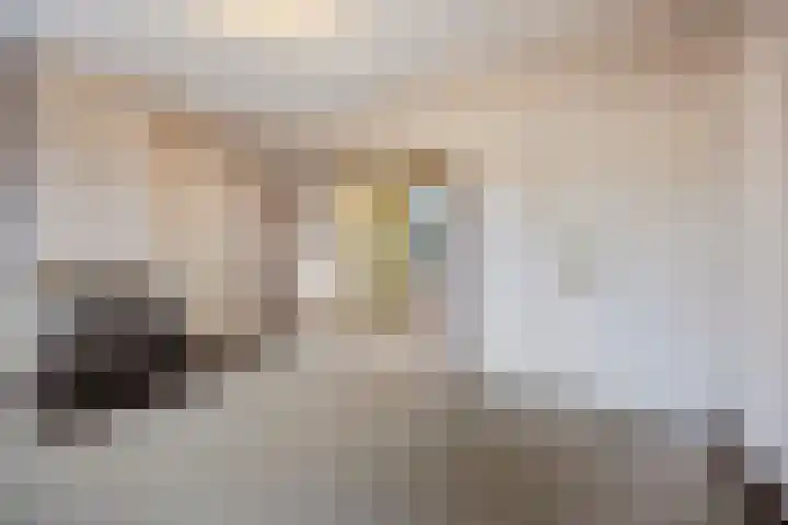 Hogendijk 18 Terneuzen thumbnail 7