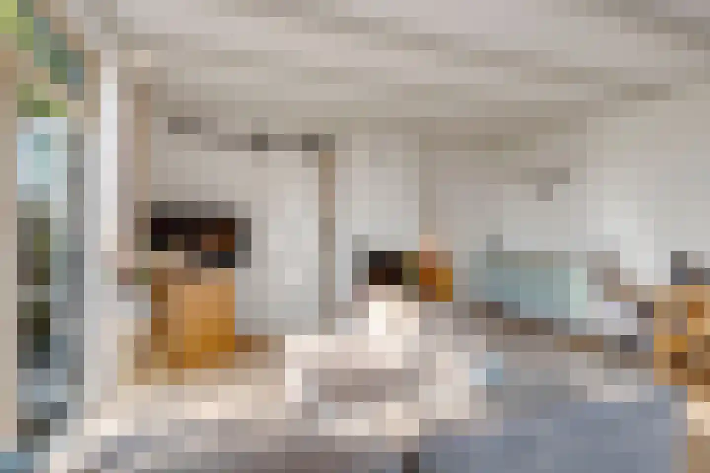 Hogendijk 3 Goudswaard thumbnail 10