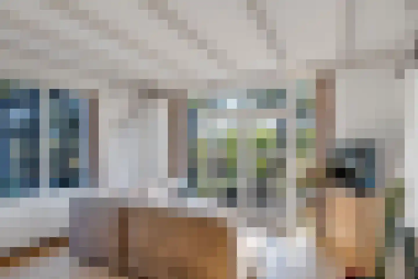 Hogendijk 3 Goudswaard thumbnail 13
