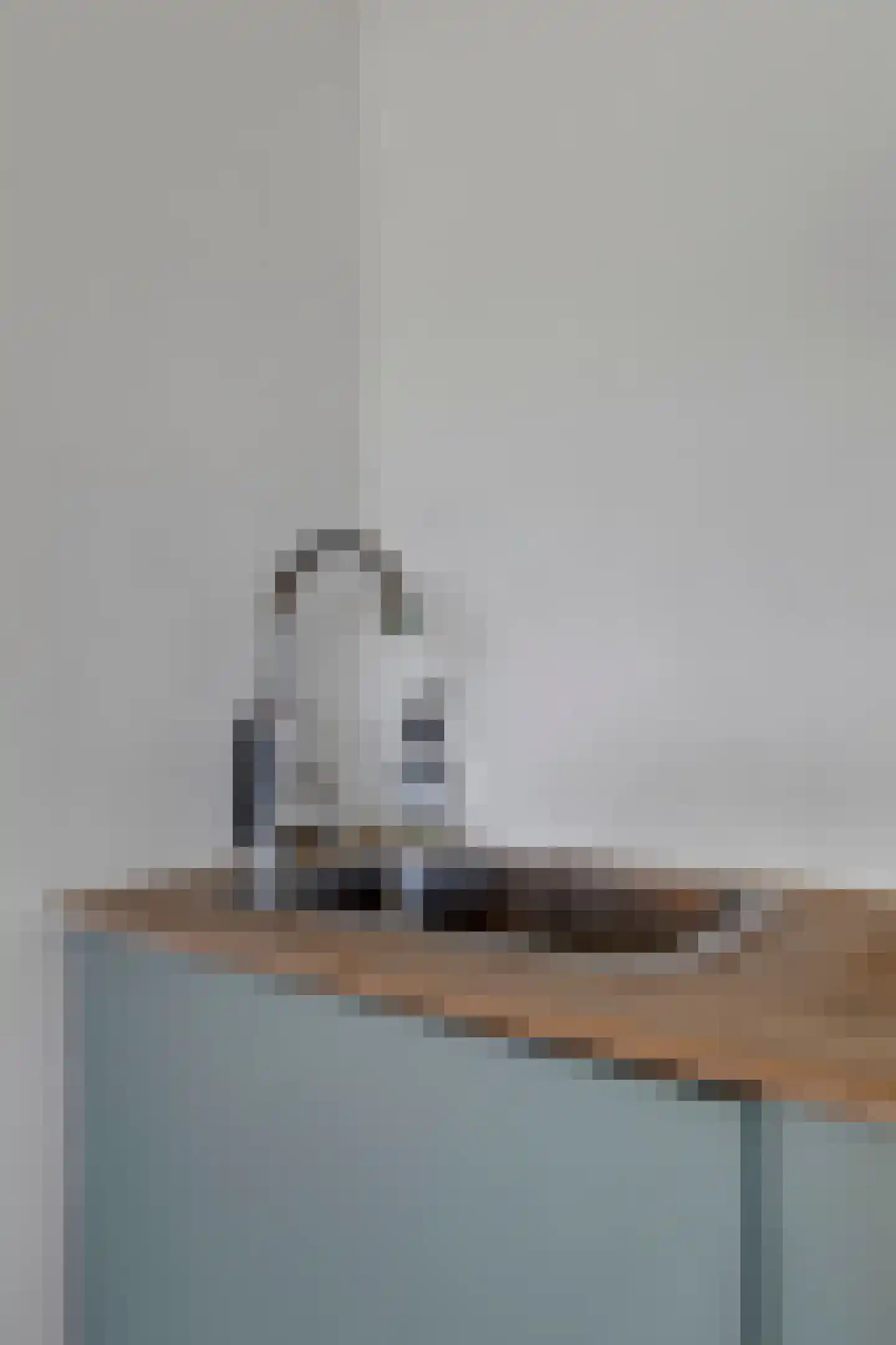 Hogendijk 3 Goudswaard thumbnail 15