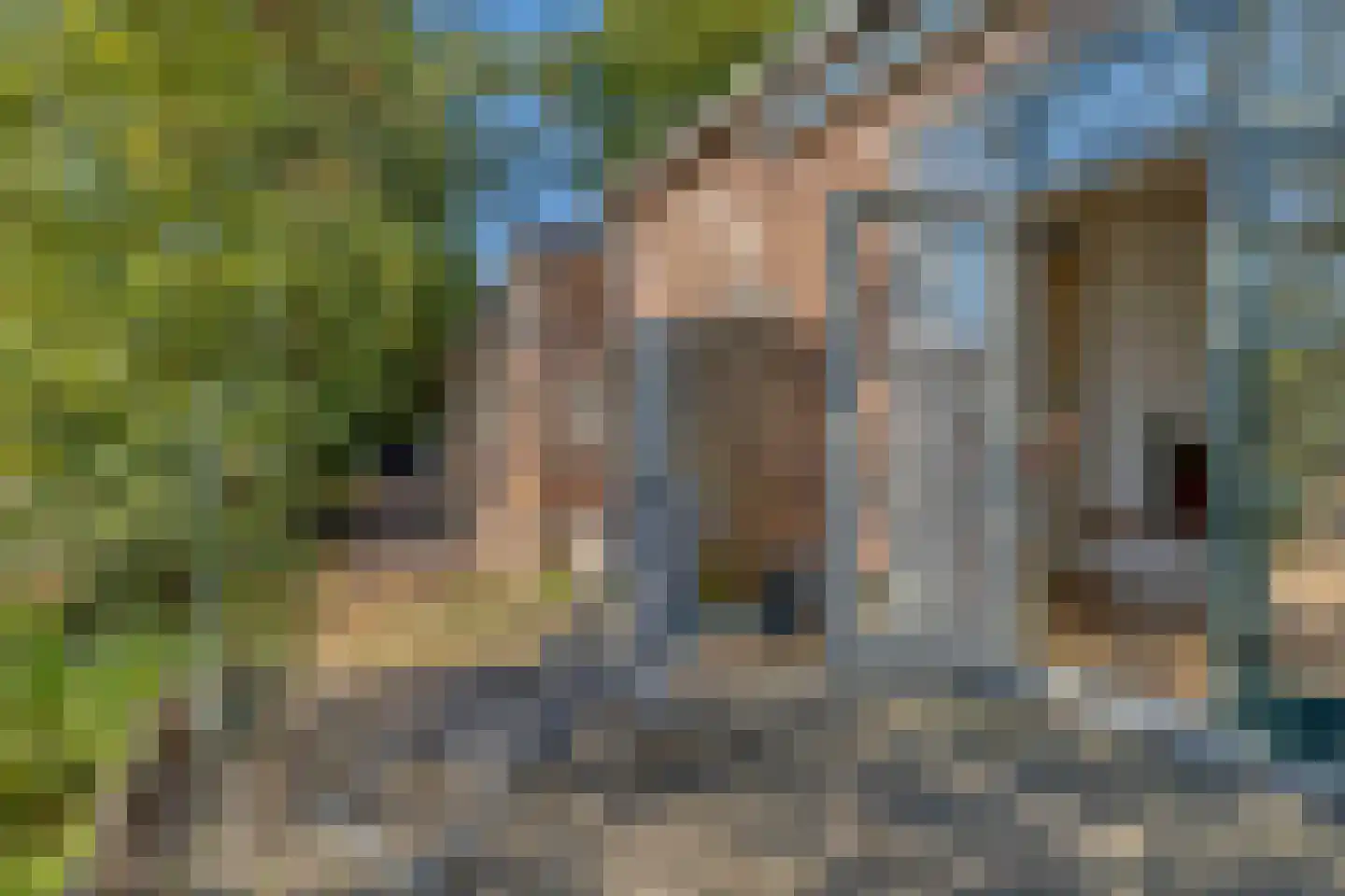 Hogendijk 3 Goudswaard thumbnail 17