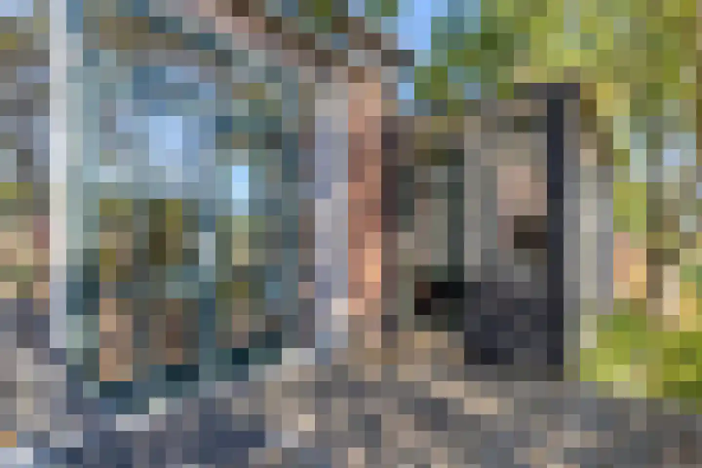 Hogendijk 3 Goudswaard thumbnail 18