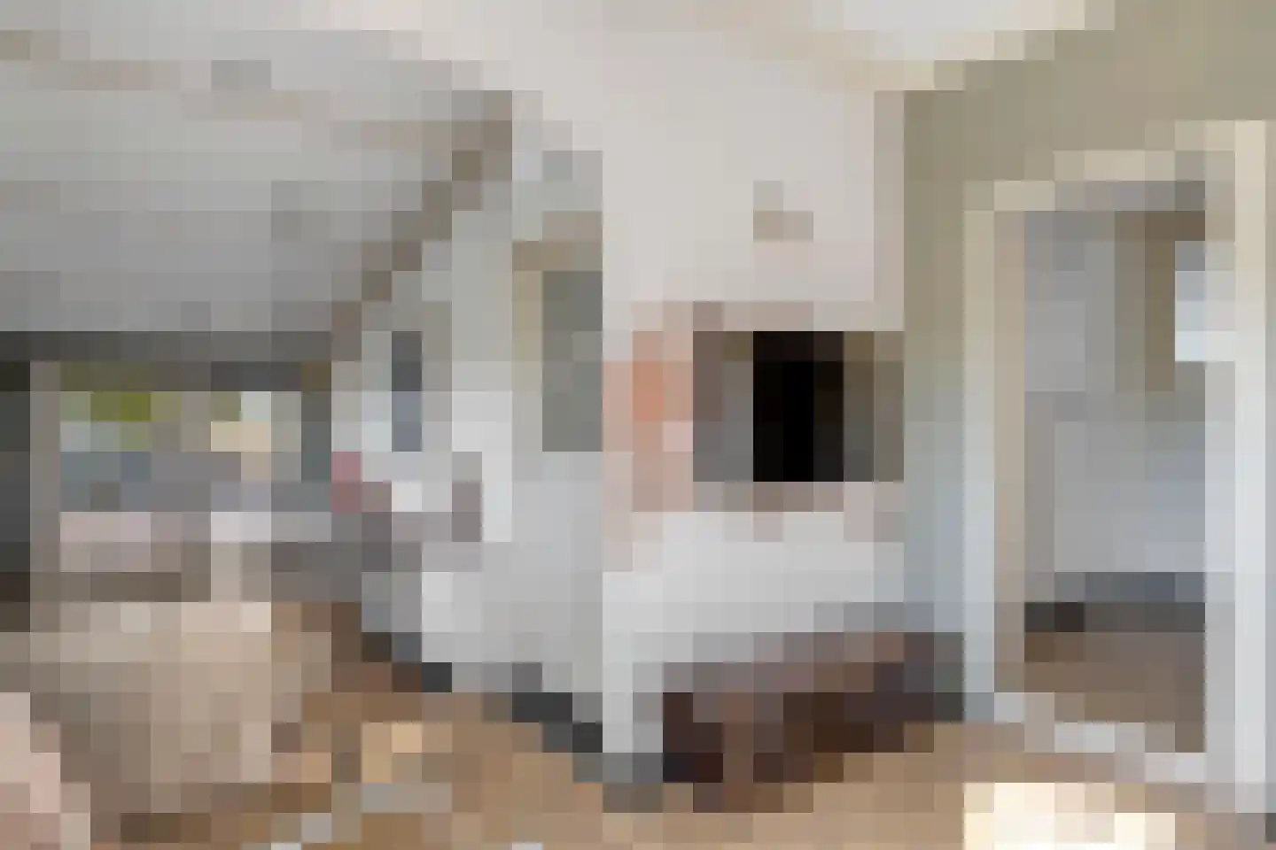 Hogendijk 3 Goudswaard thumbnail 39