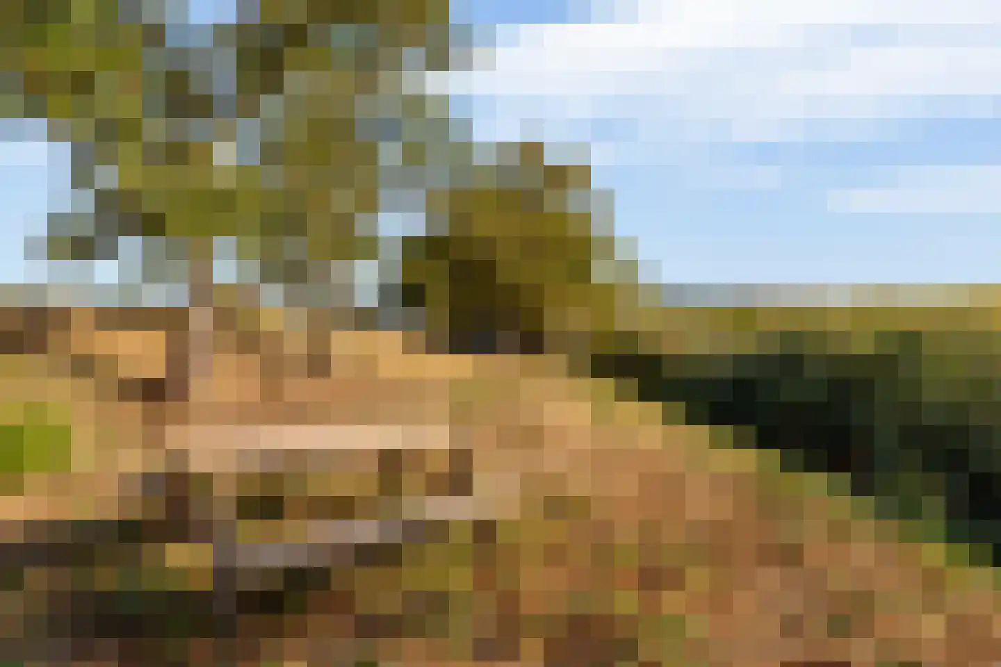 Hogendijk 3 Goudswaard thumbnail 48
