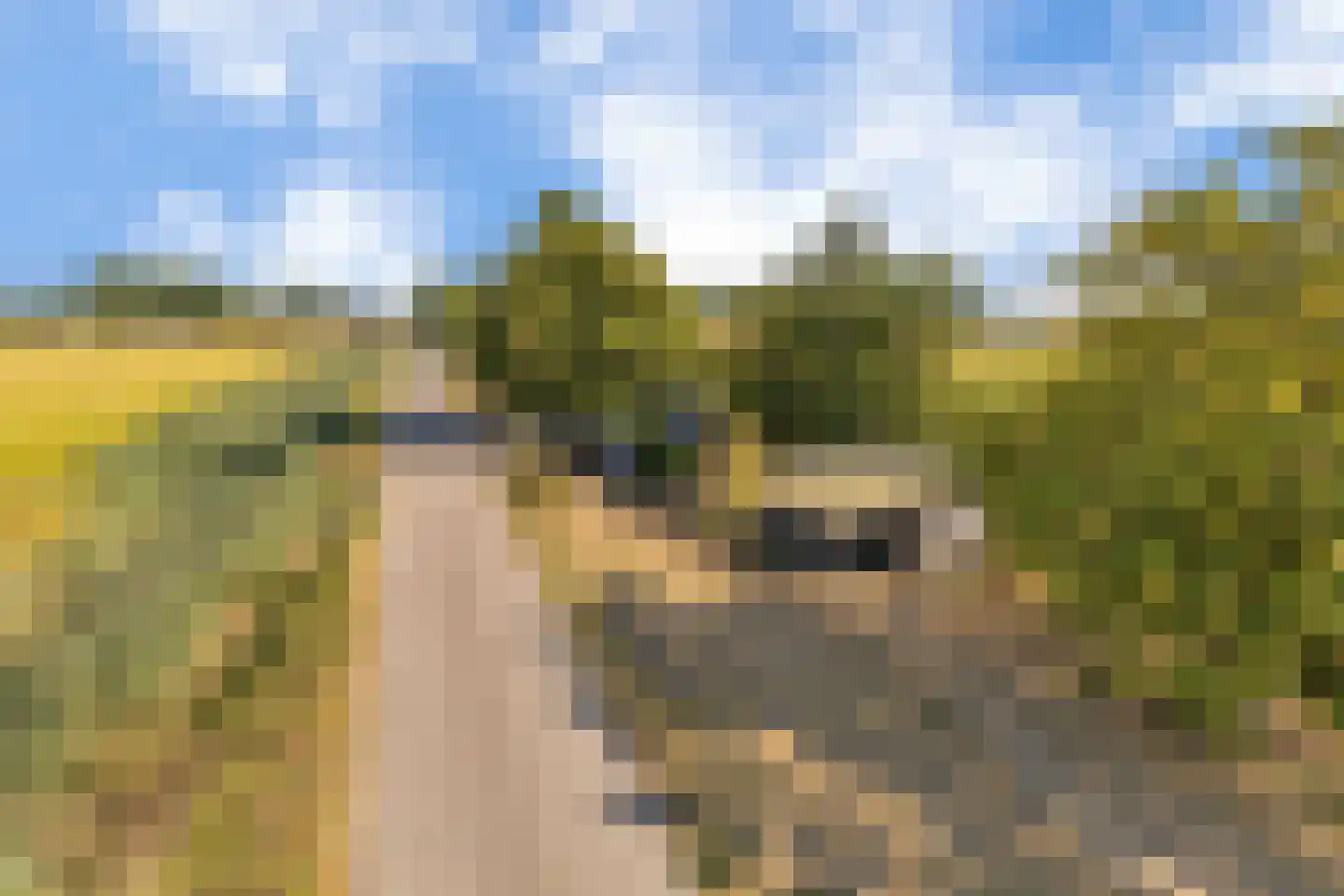 Hogendijk 3 Goudswaard thumbnail 51