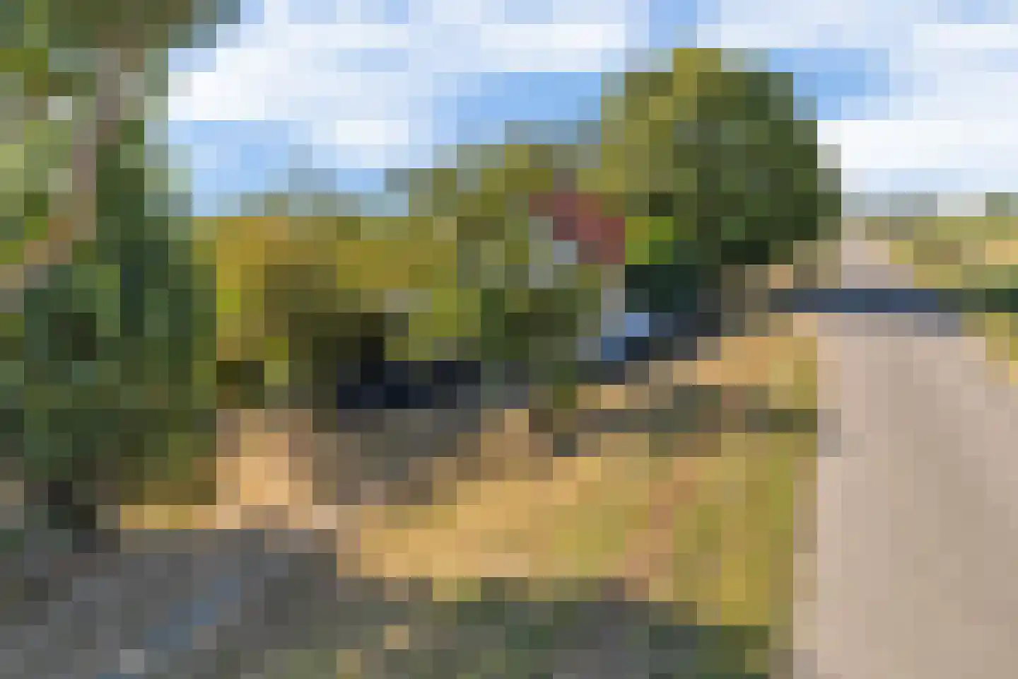 Hogendijk 3 Goudswaard thumbnail 52
