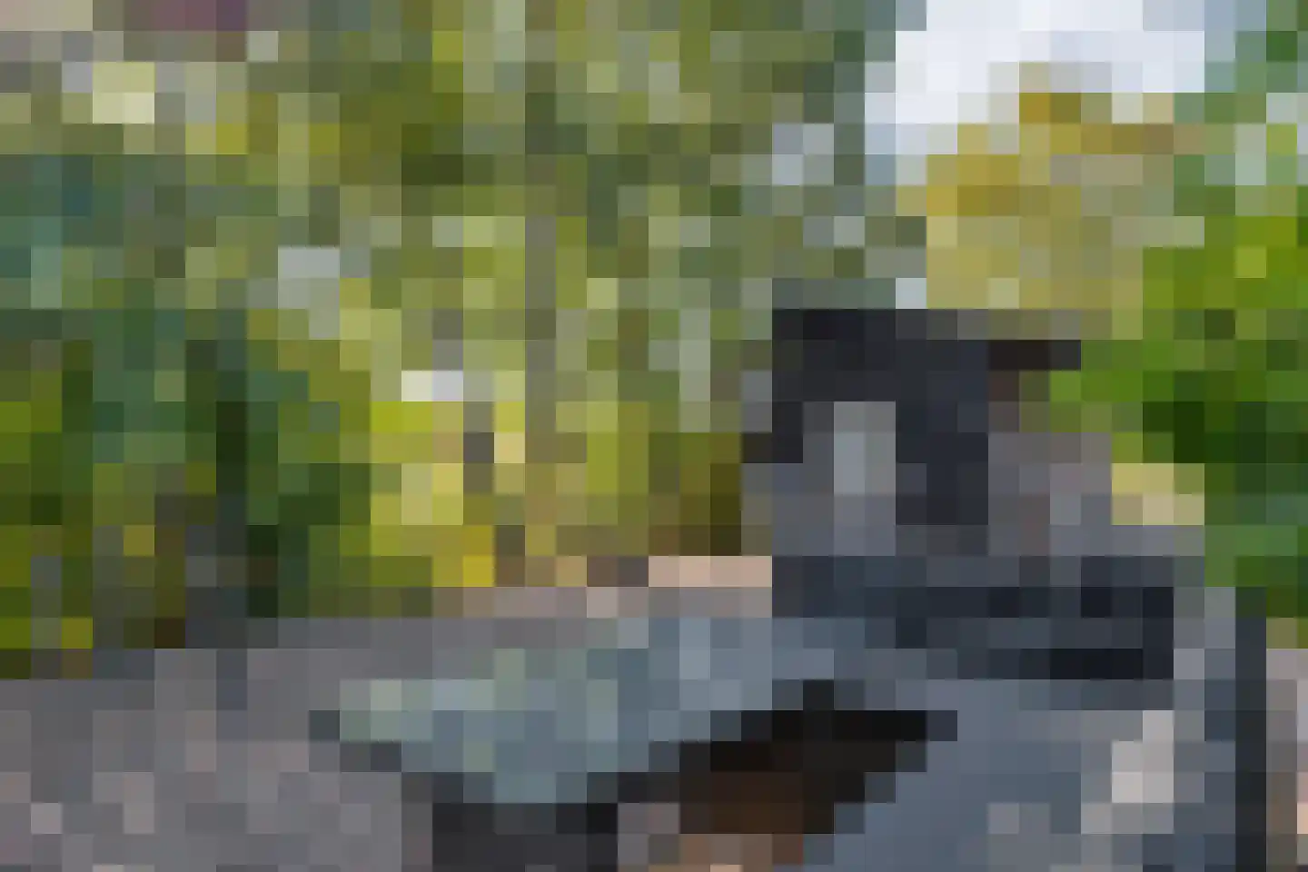 Hogendijk 3 Goudswaard thumbnail 7