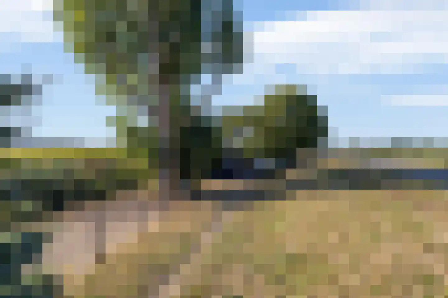 Hogendijk 3 Goudswaard thumbnail 9