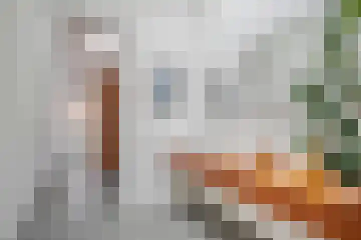 Hogendijk 30 D Zaandam thumbnail 26