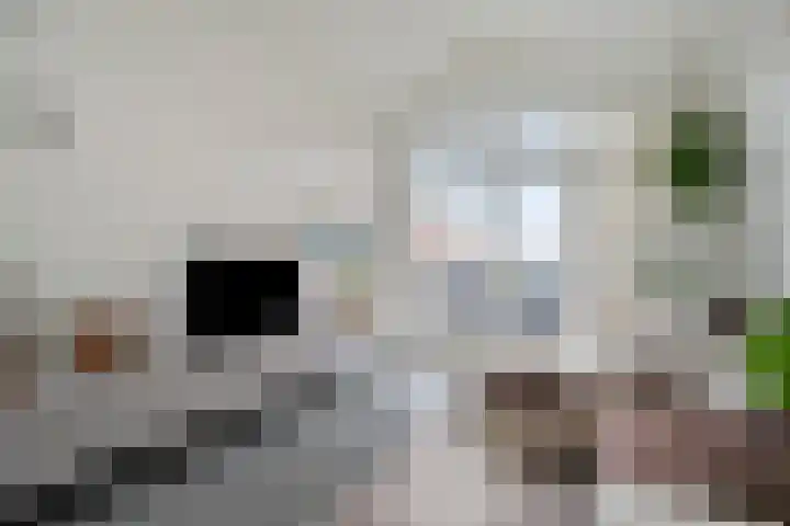 Hogendijk 30 D Zaandam thumbnail 8