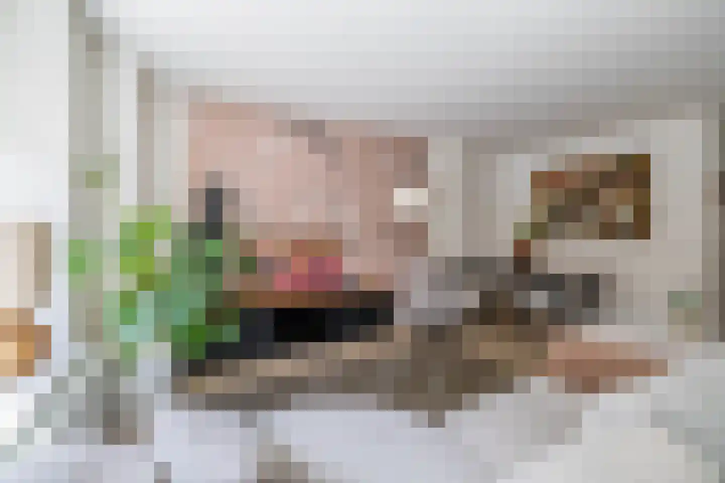 Hogendijk 32 B Zaandam thumbnail 12