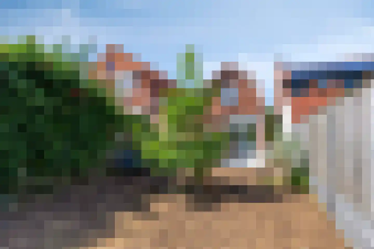 Hogendijk 35 Terneuzen thumbnail 22