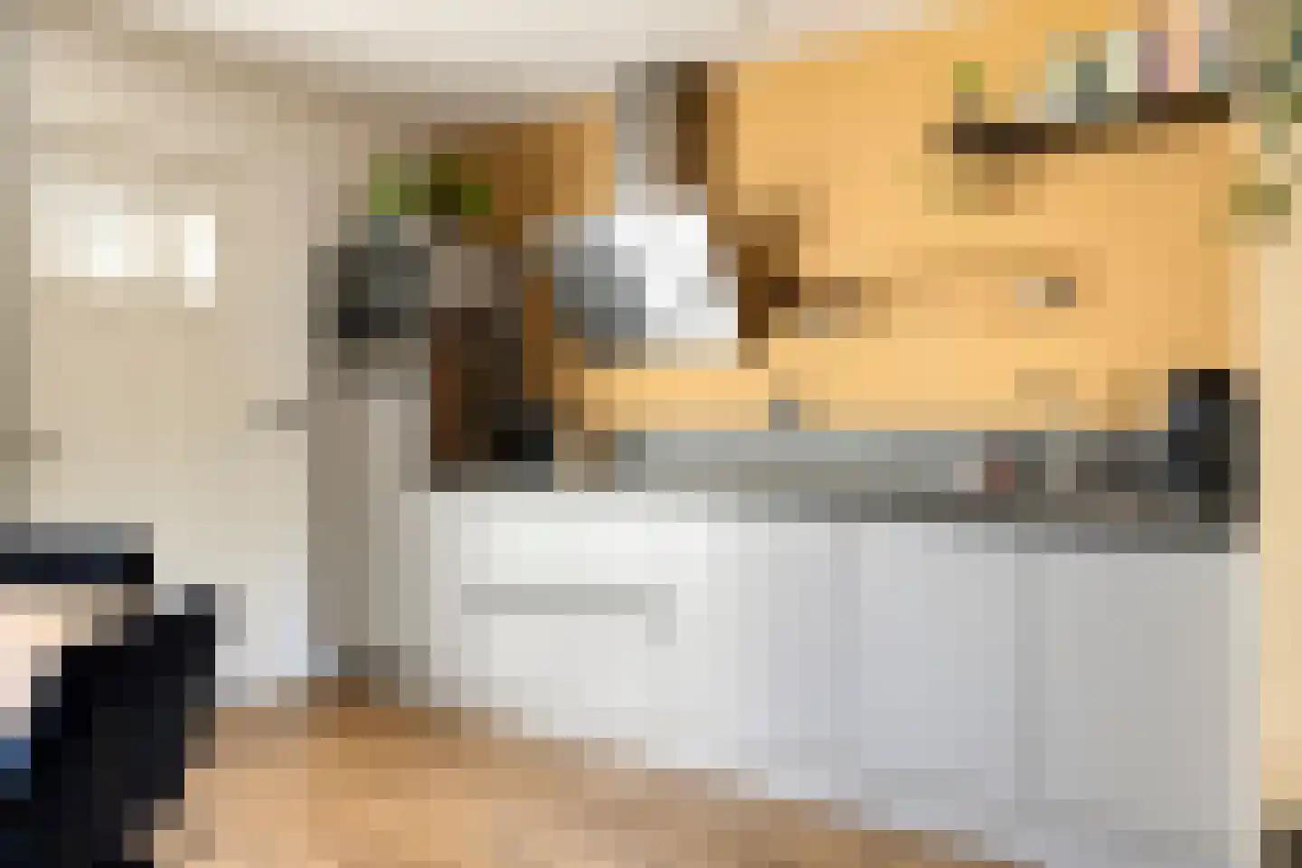 Hogendijk 35 Terneuzen thumbnail 4