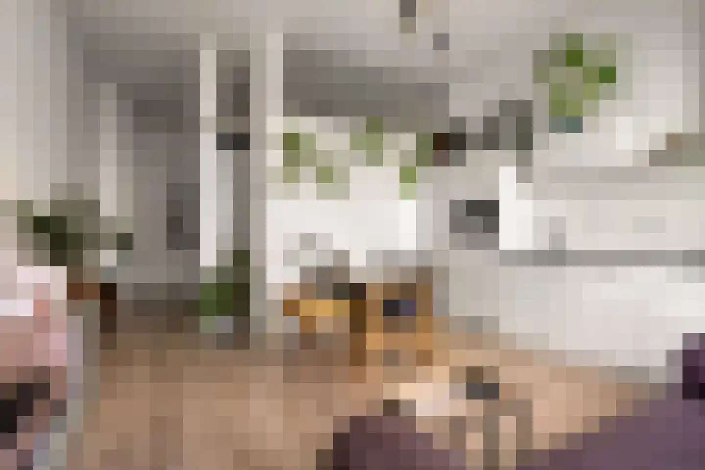 Hogendijk 40 B Zaandam thumbnail 8