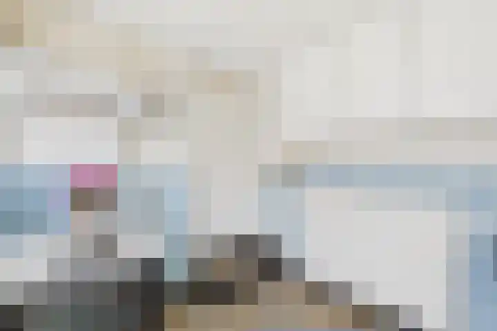 Hogendijk 41 Terneuzen thumbnail 16