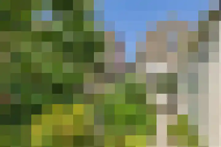 Hogendijk 41 Terneuzen thumbnail 29