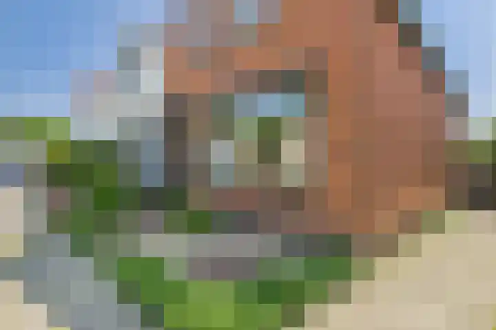 Hogendijk 41 Terneuzen thumbnail 34