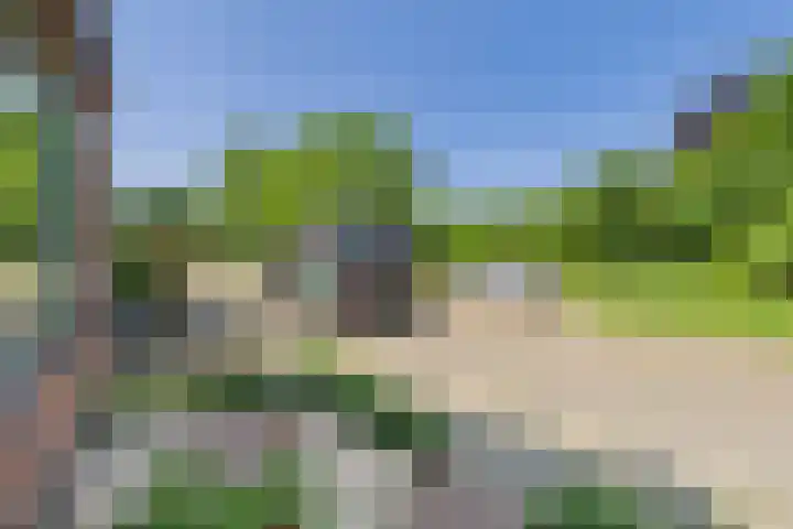 Hogendijk 41 Terneuzen thumbnail 36