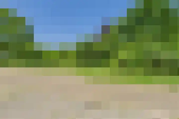 Hogendijk 41 Terneuzen thumbnail 37