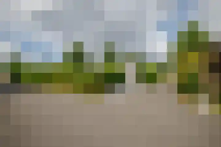 Hogendijk 41 Terneuzen thumbnail 4