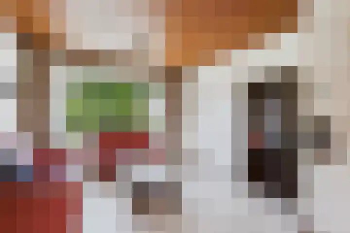 Hogendijk 41 Terneuzen thumbnail 6
