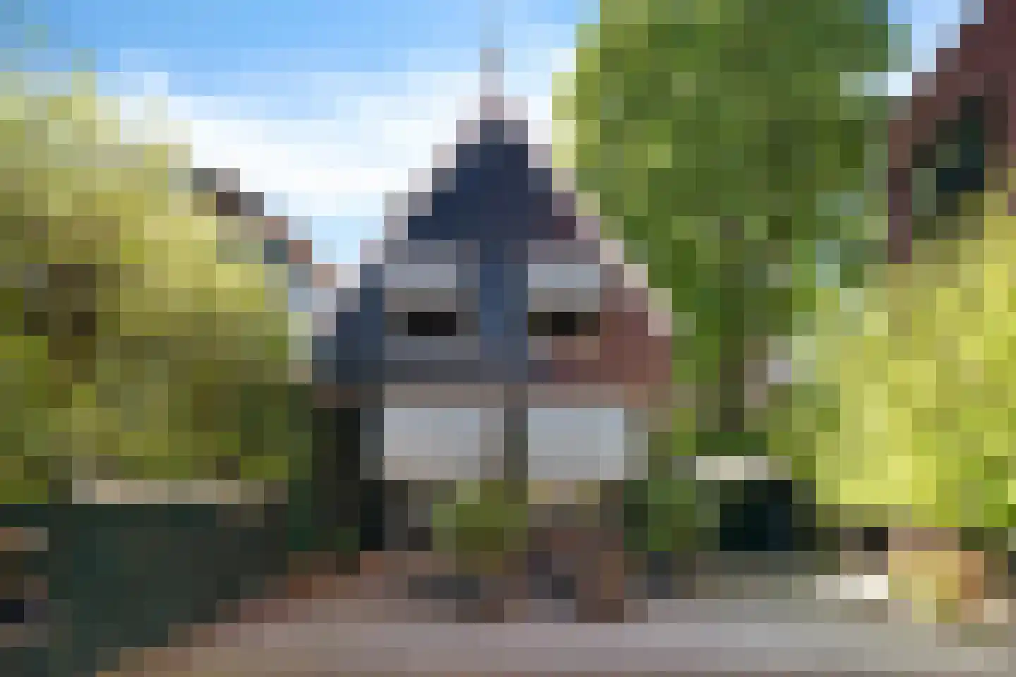 Hogendijk 5 Zaandam thumbnail 4
